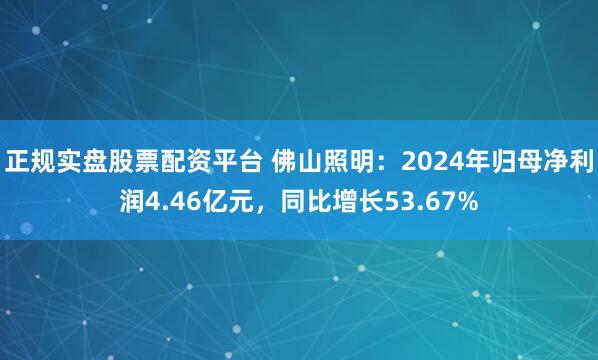 正规实盘股票配资平台 佛山照明：2024年归母净利润4.46亿元，同比增长53.67%
